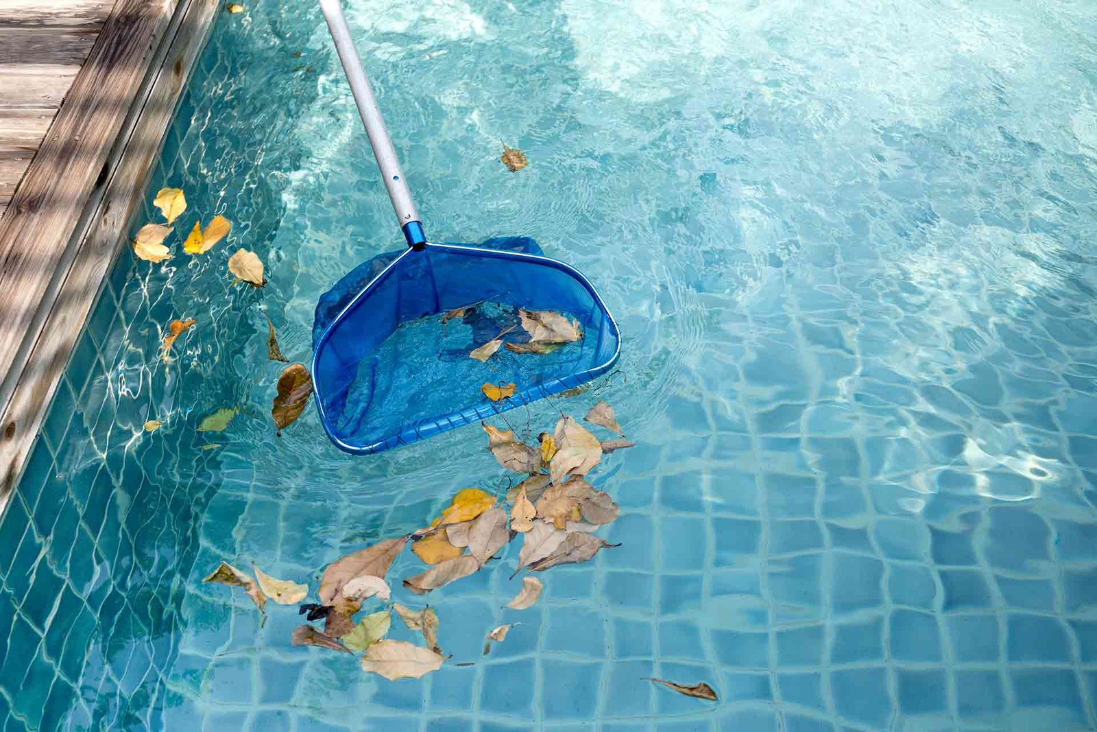 pool maintenance cost