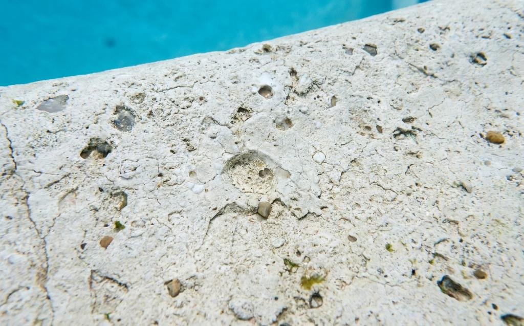 Close-up of a worn plaster swimming pool surface showing rough texture and discoloration